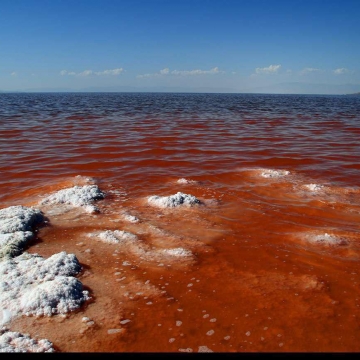 آب دریاچه ارومیه با افزایش دما، افزایش تبخیر و در پی آن رشد جلبک های شورپسند، قرمز رنگ می شود