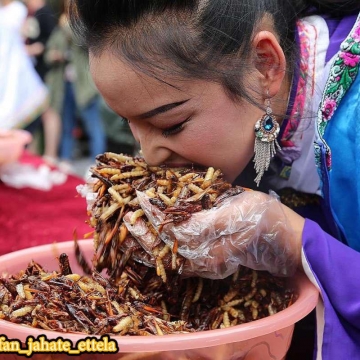 یک خانم برنده مسابقه حشره خوری در چین!