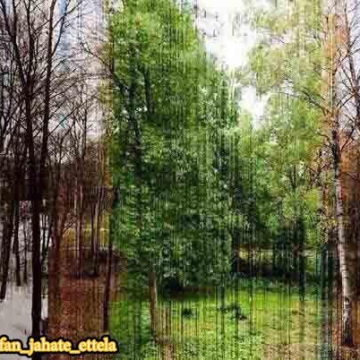 عکسی فوق‌العاده از ۳۶۵ اسلاید که هر اسلاید مربوط به یک روز از سال هست.