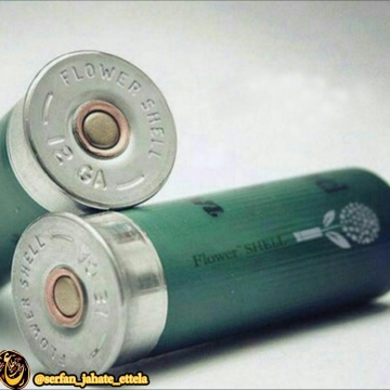 گلوله هایی که درونشان بذر جاسازی شده است
