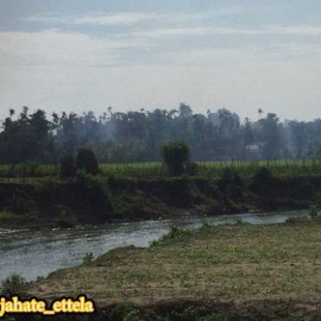 یک خبرنگار BBC شاهد سوختن یک روستای مسلمانان روهینگیا در میانمار بوده