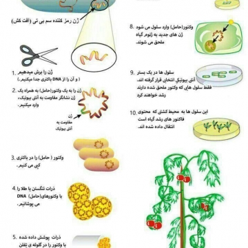 یک «تراریخت» چگونه تولید می‌شود؟