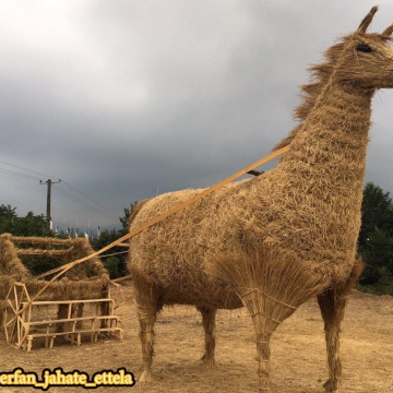 تصویر روز: جشن برنج در گیلان