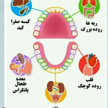 اگر دندونتون بی علت خراب شد یا درد میاد حتما تصویر بالارو ببینید