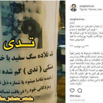 آگهی گم شدن “تدی” در اینستاگرام ضرغامی