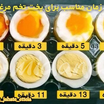 تخم مرغ کاملترین غذای جهانست