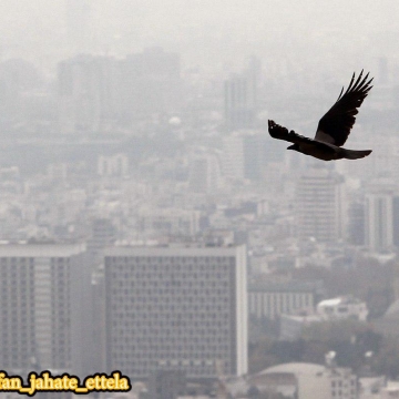 سرپرست گروه “سلامت هوا”  از مرگ ۱۲ هزار و ۸۹۷ ایرانی در اثر آلودگی هوا در سال ۹۴ خبر داد!