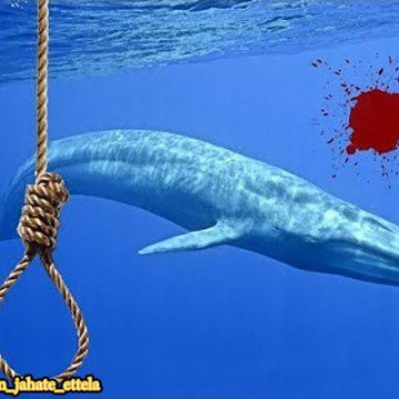 پای چالش نهنگ آبی به سینما باز شد | ساعت ۴.۲۰ دقیقه بیدارم کن