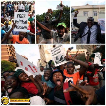 شادی مخالفان موگابه پس از استعفای وی از قدرت