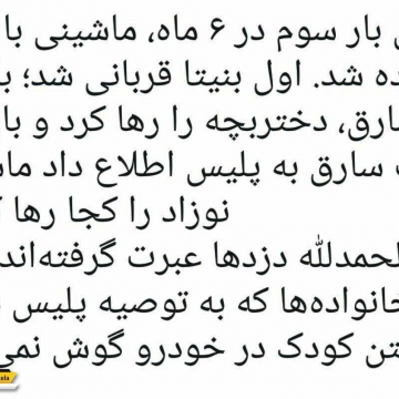 ظاهرا آموزش رو سارقا متمرکز بشه زودتر نتیجه می‌گیریم!