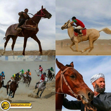تصاویری از كورس سواركاری پاييزه بجنورد