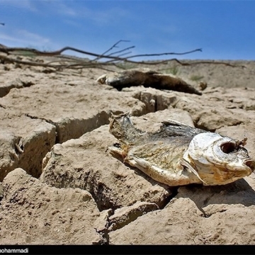 ویدیو : گزارش بی بی سی از خشکسالی بی سابقه در ایران؛