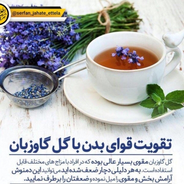 تقویت قوای بدن با گل گاوزبان