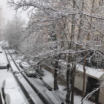 تصویر مربوط میشه با بارش برف امروز در بخشهایی از تهران