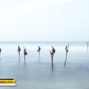 در ماهرپپه سریلانکا، ماهیگیران روی صندلی ها برای گرفتن ماهی قبل از طلوع آفتاب می نشیند