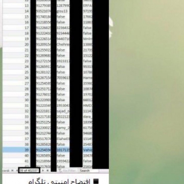 برخی اومدن ‏یه صفحه اکسل با چنتا شماره تلفن منتشر کردن میگن این باگ تلگرامه