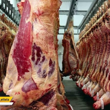 قیمت گوشت گوسفندی به ۵۶ هزار تومان رسید
