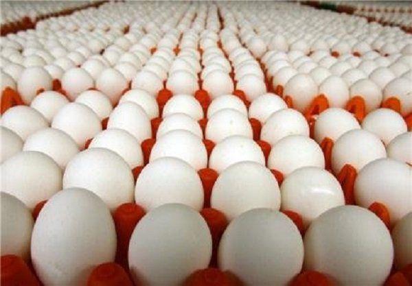 مدیرعامل شرکت پشتیبانی امور دام: از امروز هر شانه تخم‌مرغ ۳۰ تایی به قیمت ۱۳ هزار و ۸۰۰ تومان