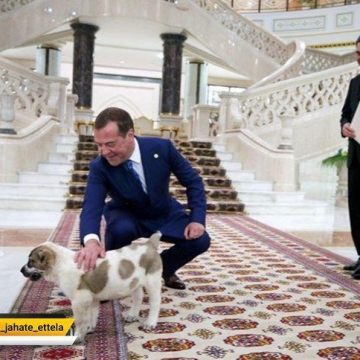 يك سگ، هديه رييس جمهور تركمنستان به مدودوف نخست وزير روسيه