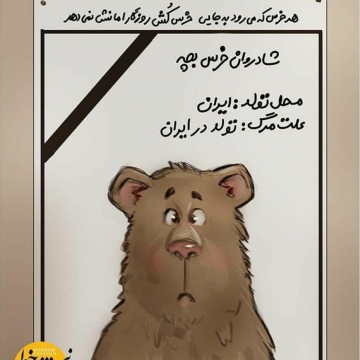 در حاشیه کشته شدن یک توله خرس در سوادکوه مازندران
