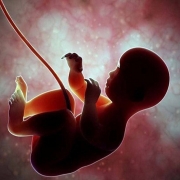 ابطال پروانه کار در انتظار پزشکان خاطی سقط جنین