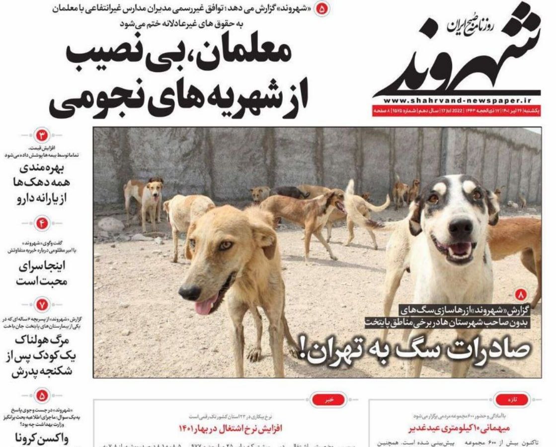 رهاسازی سگ های بی صاحب در حاشیه تهران با پلاک های مخدوش!