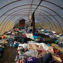 آخرین آمار درخواست پناهندگی از اتحادیه اروپا؛ افغانستانی‌ها از اوکراینی‌ها پیشی گرفتند
