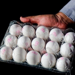 قیمت تخم‌مرغ بسته‌بندی هفته آینده اعلام می‌شود/ فروش تخم‌مرغ به صورت کیلویی می‌شود