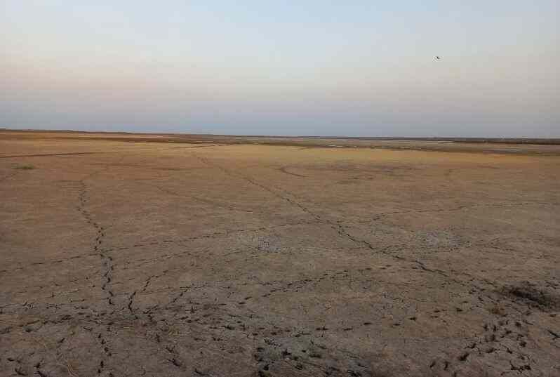 ۲ تالاب بین‌المللی گنبدکاووس به طور کامل خشک شد