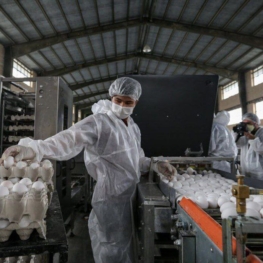 درخواست افزایش ۱۰ هزار تومانی قیمت تخم‌مرغ