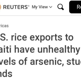 صادرات برنج سمی به هائیتی