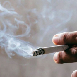 ۲.۲ درصد دانش‌آموزان و ۴.۷ درصد دانشجویان کشور معتاد هستند
